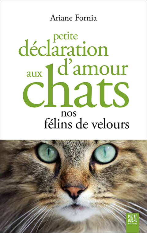 Petite déclaration d’amour aux chats