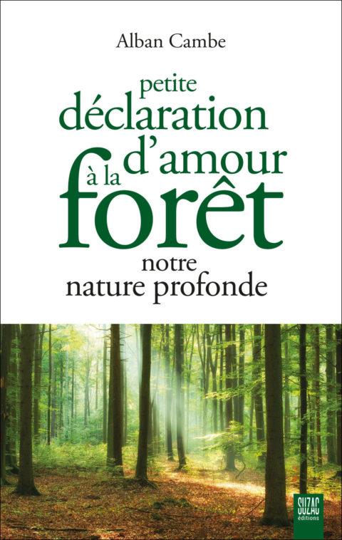 Petite déclaration d’amour à la forêt