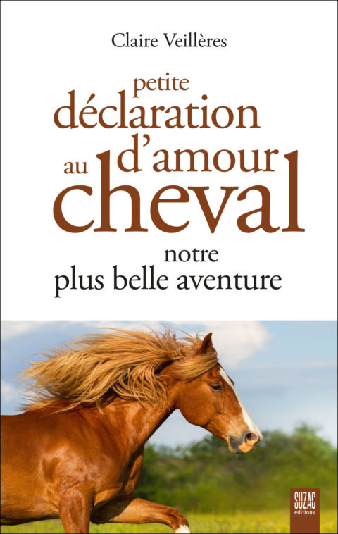 Petite déclaration d’amour au cheval