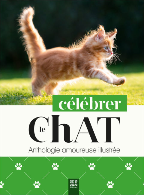 Célébrer le chat