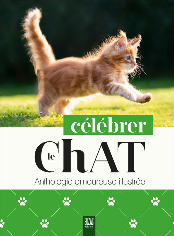 Célébrer le chat