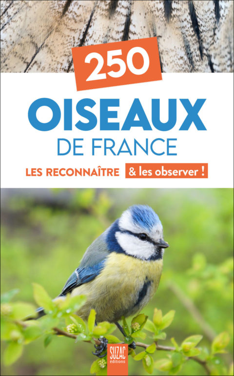 250 Oiseaux de France