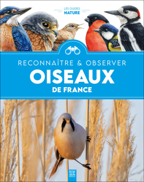 Oiseaux de France, l’encylo nature